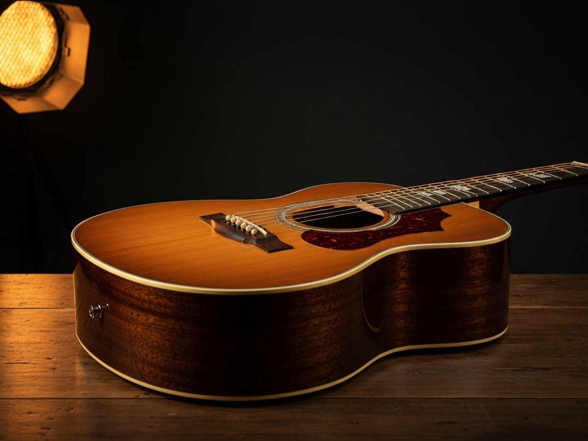 Daisy Rock Guitar Review