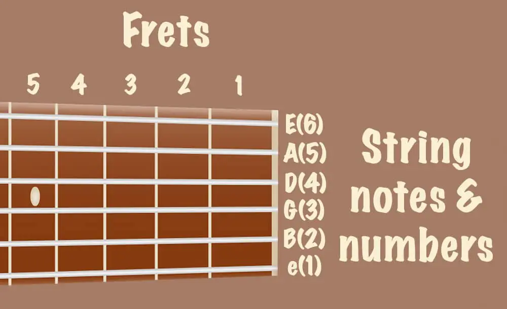 Frets and Strings