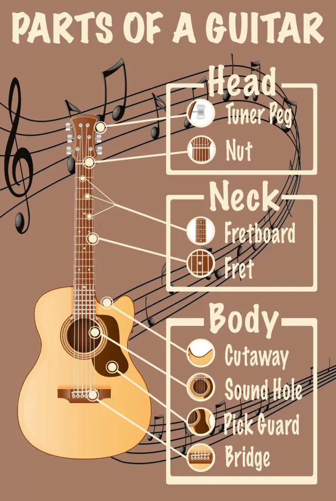 Guitar Parts Terminology​