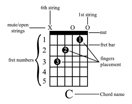 chord diagram details