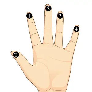 Hand diagram