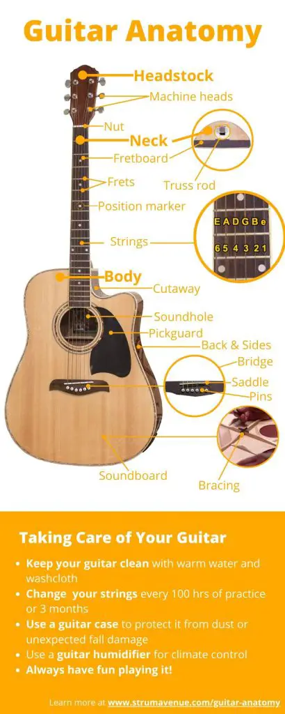 acoustic guitar anatomy