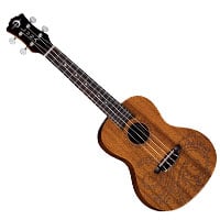 Luna Tattoo Mahogany AcousticElectric Concert Ukulele Bundle with Hard  Case Tuner Austin Bazaar Instructional DVD and Polishing Cloth   Amazonin Musical Instruments